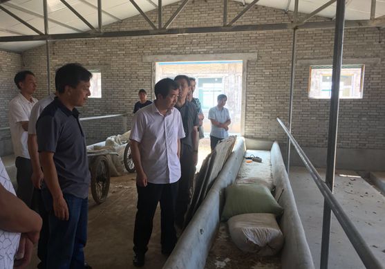 2026世界杯投注平台