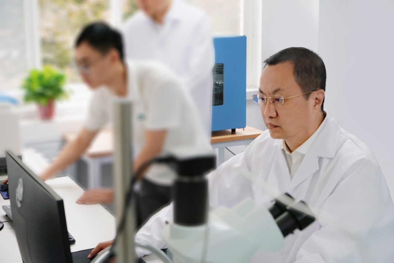 2026世界杯投注平台