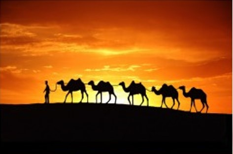 2026世界杯投注平台