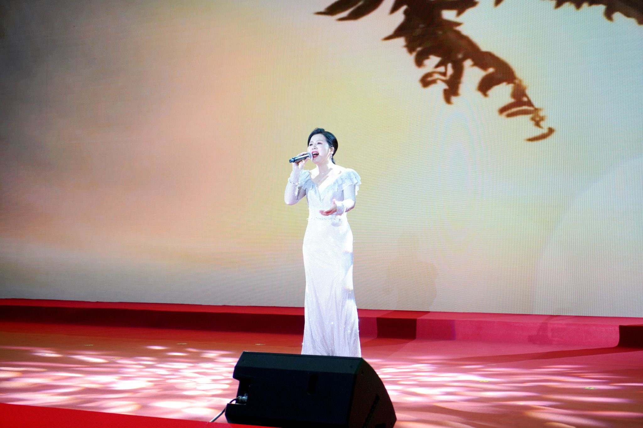 2026世界杯投注平台