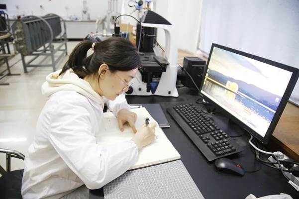 2026世界杯投注平台