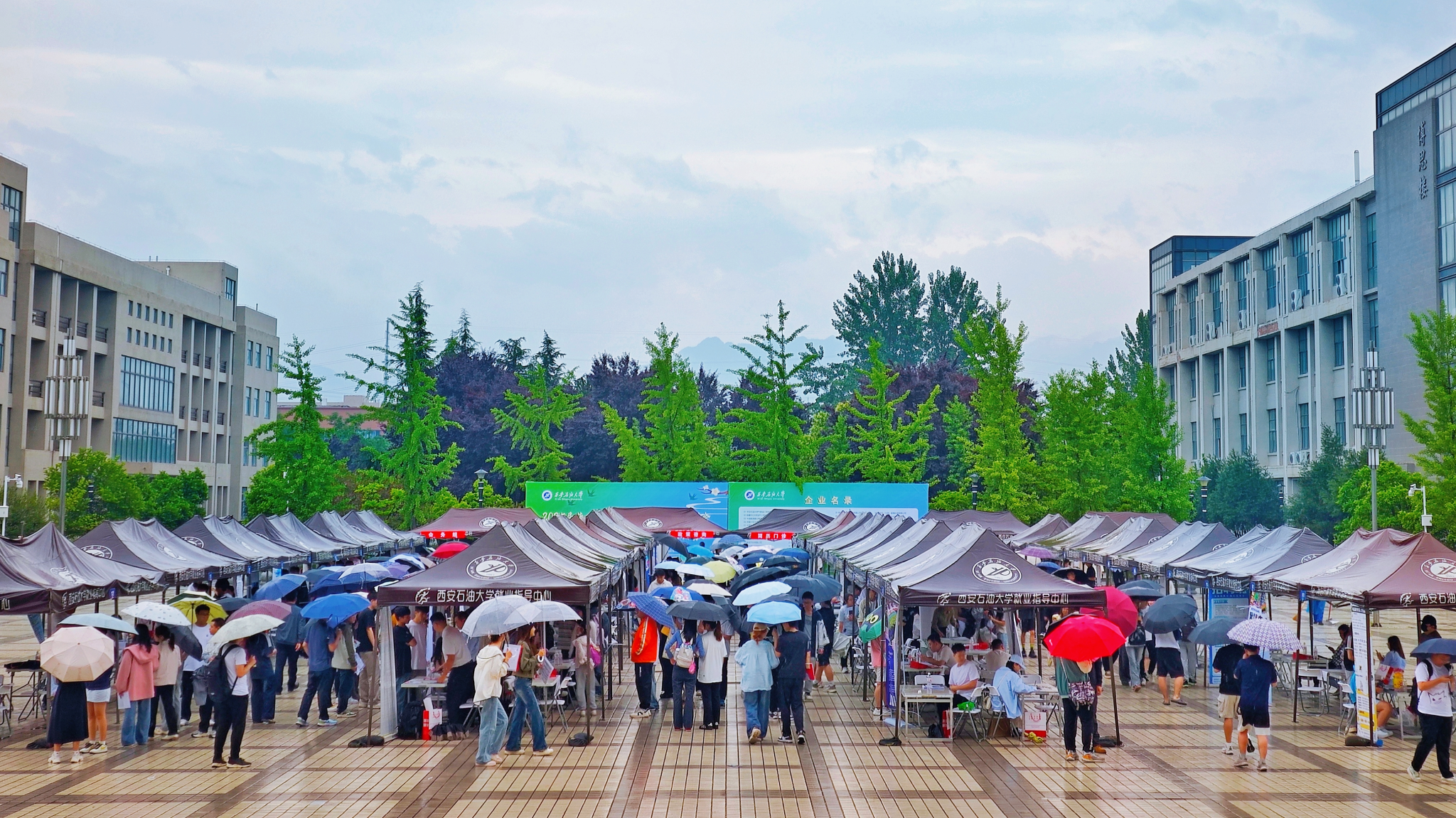 2026世界杯投注平台