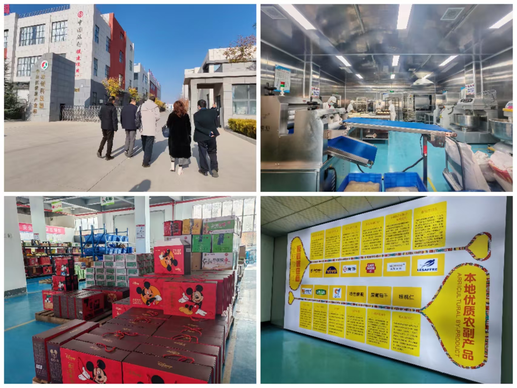 2026世界杯投注平台