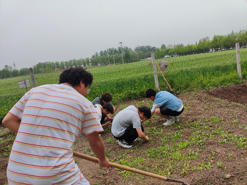 2026世界杯投注平台