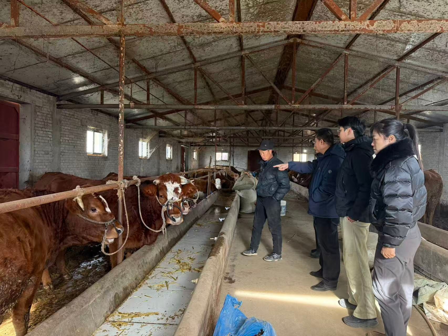 2026世界杯投注平台