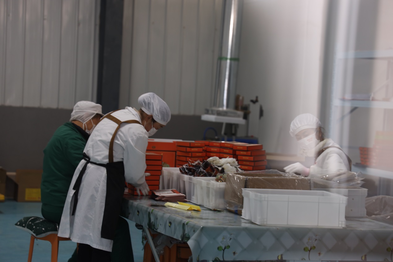 2026世界杯投注平台