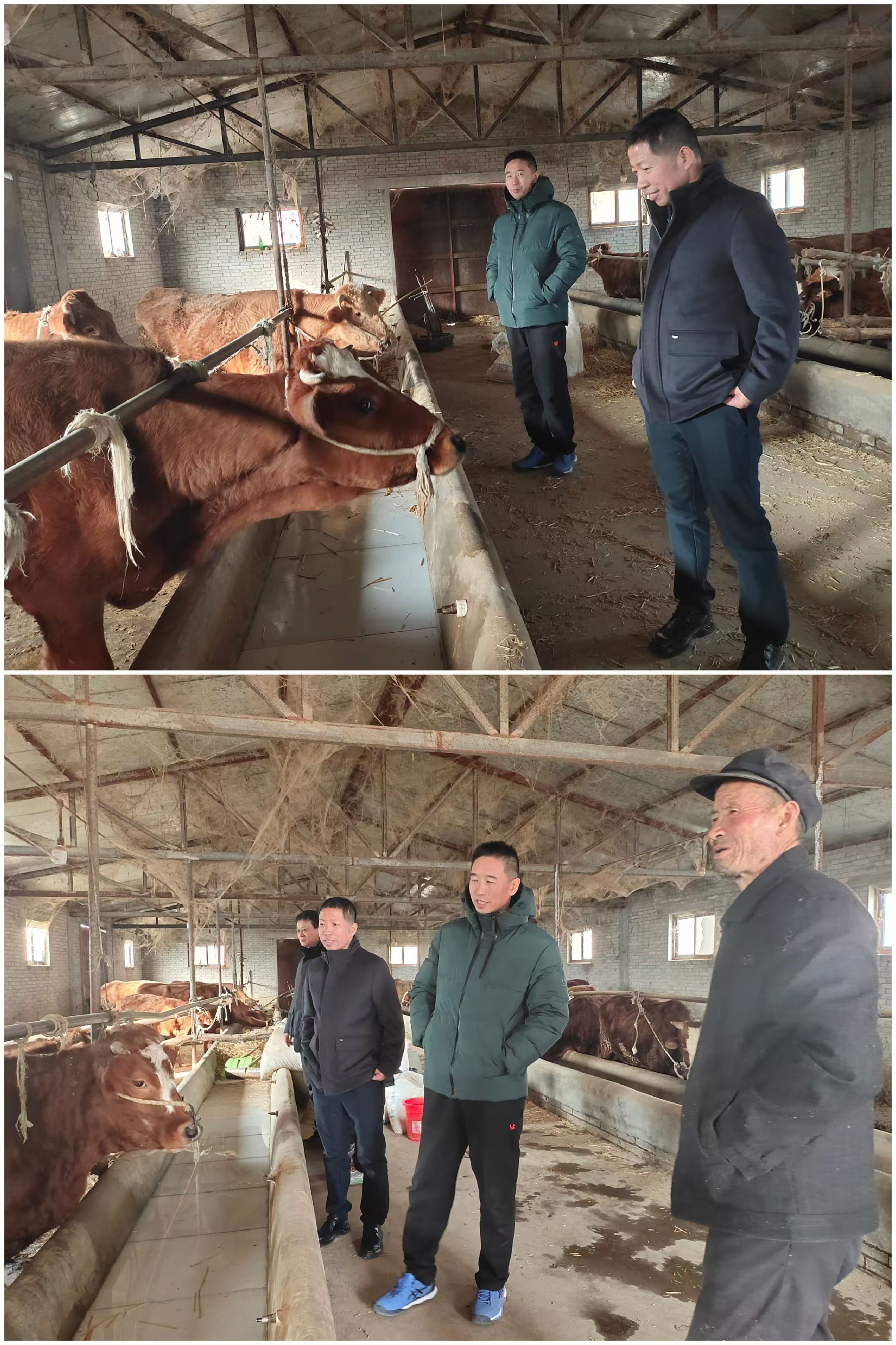 2026世界杯投注平台