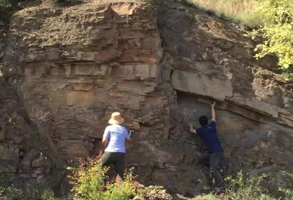 2026世界杯投注平台