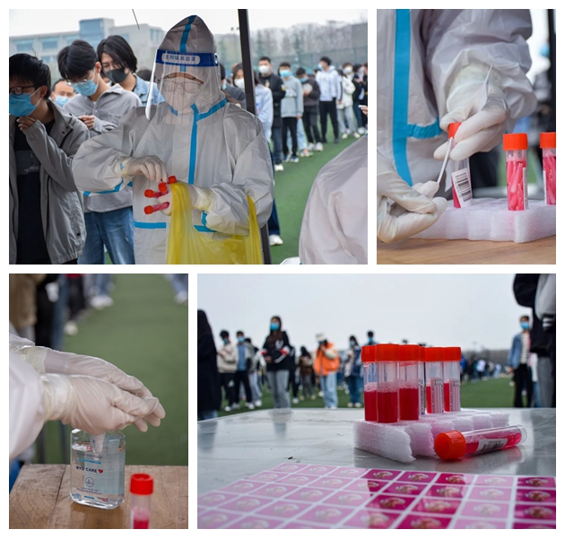 2026世界杯投注平台