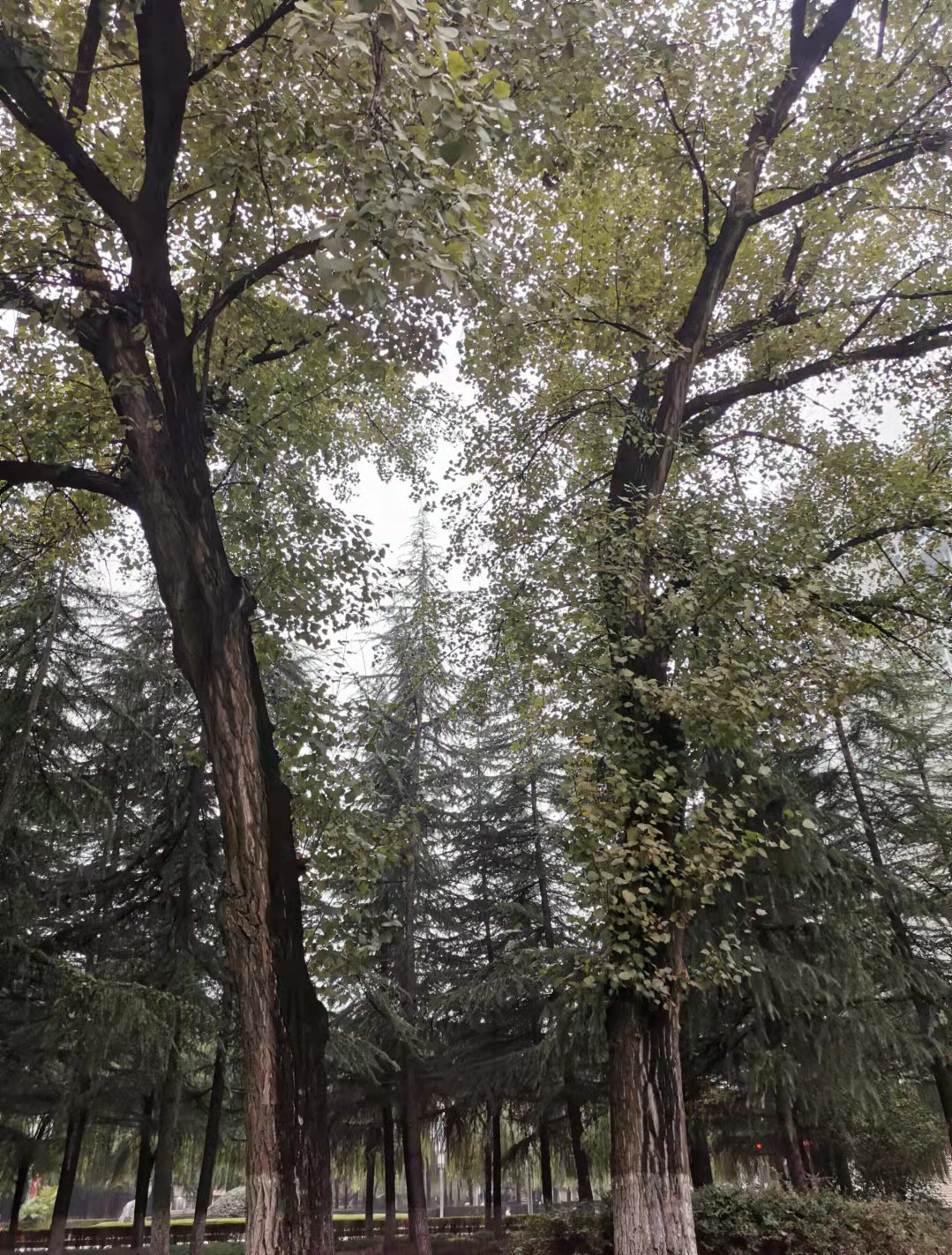 2026世界杯投注平台