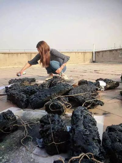 2026世界杯投注平台