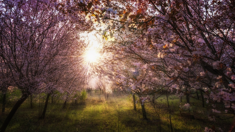 姜渭清1.jpg 2026世界杯投注平台