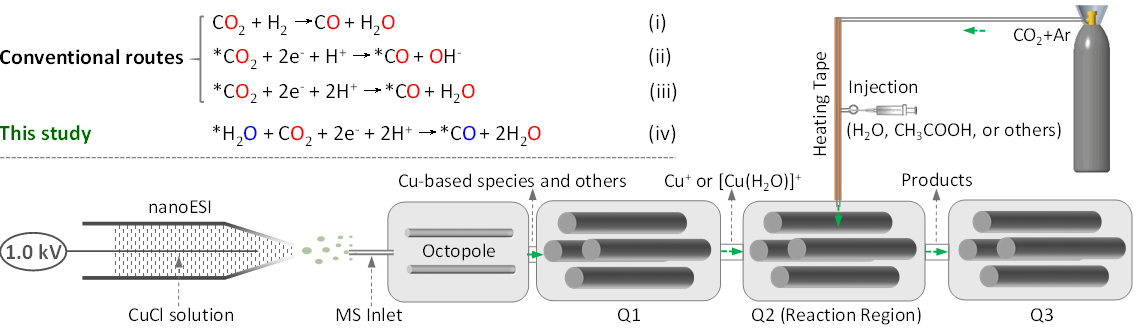 2026世界杯投注平台