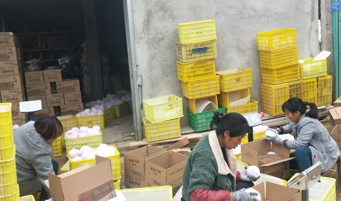 2026世界杯投注平台