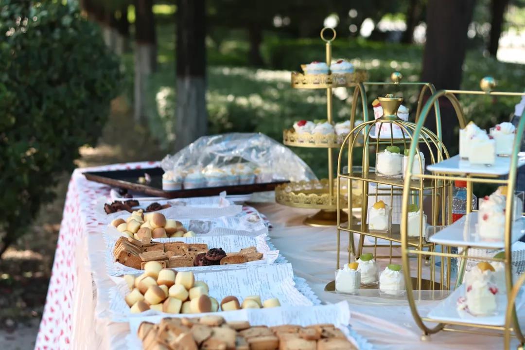 2026世界杯投注平台