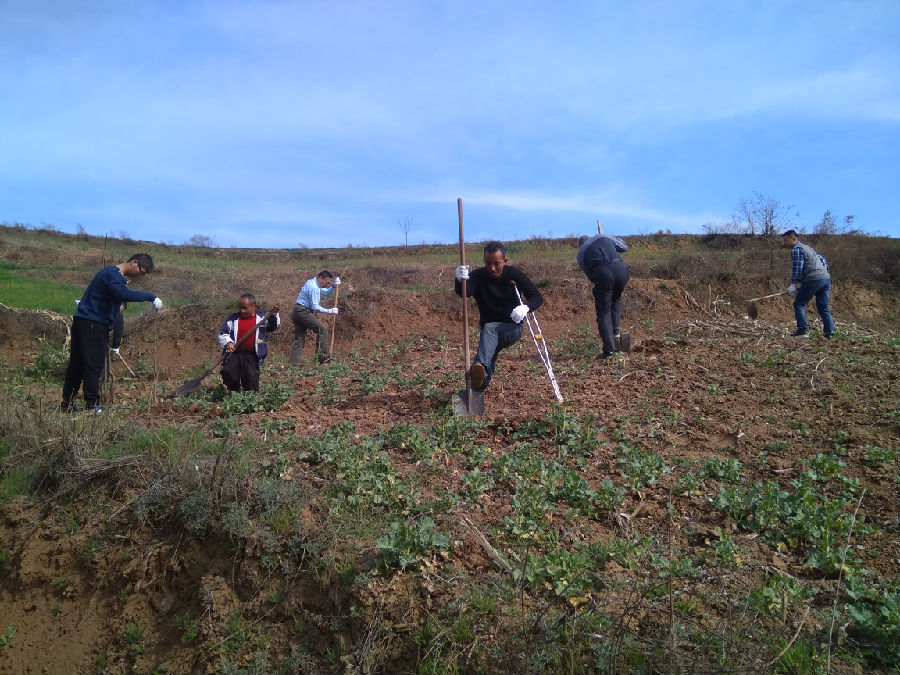 2026世界杯投注平台