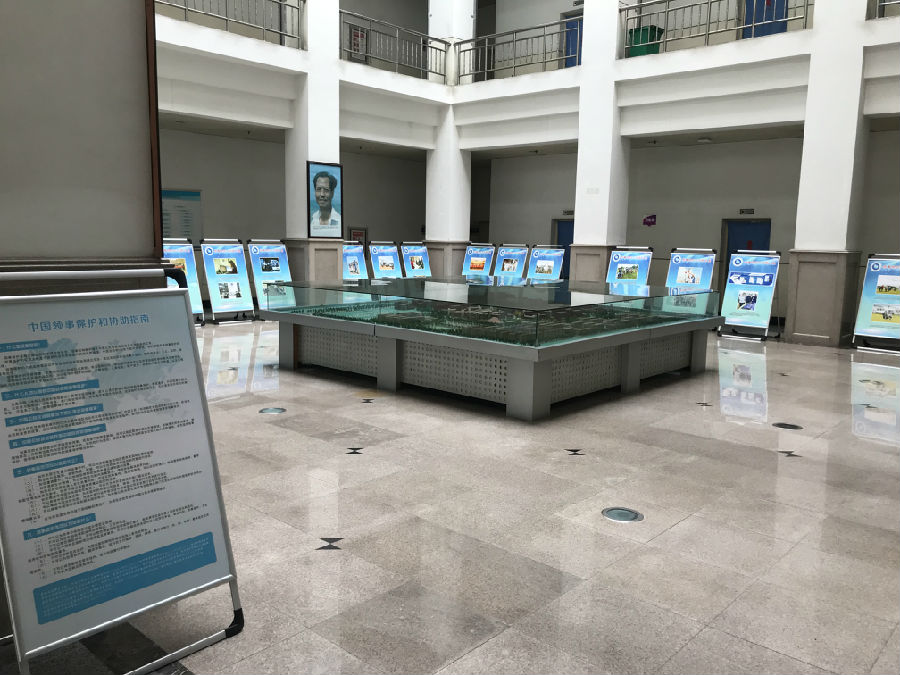 2026世界杯投注平台