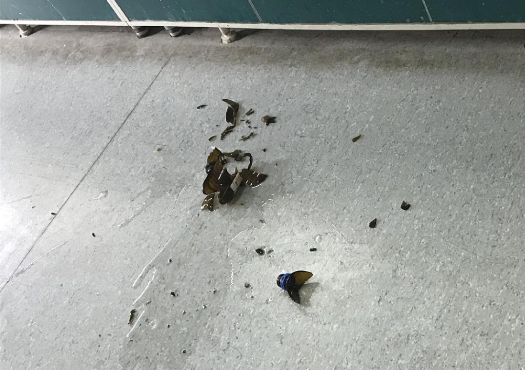 2026世界杯投注平台