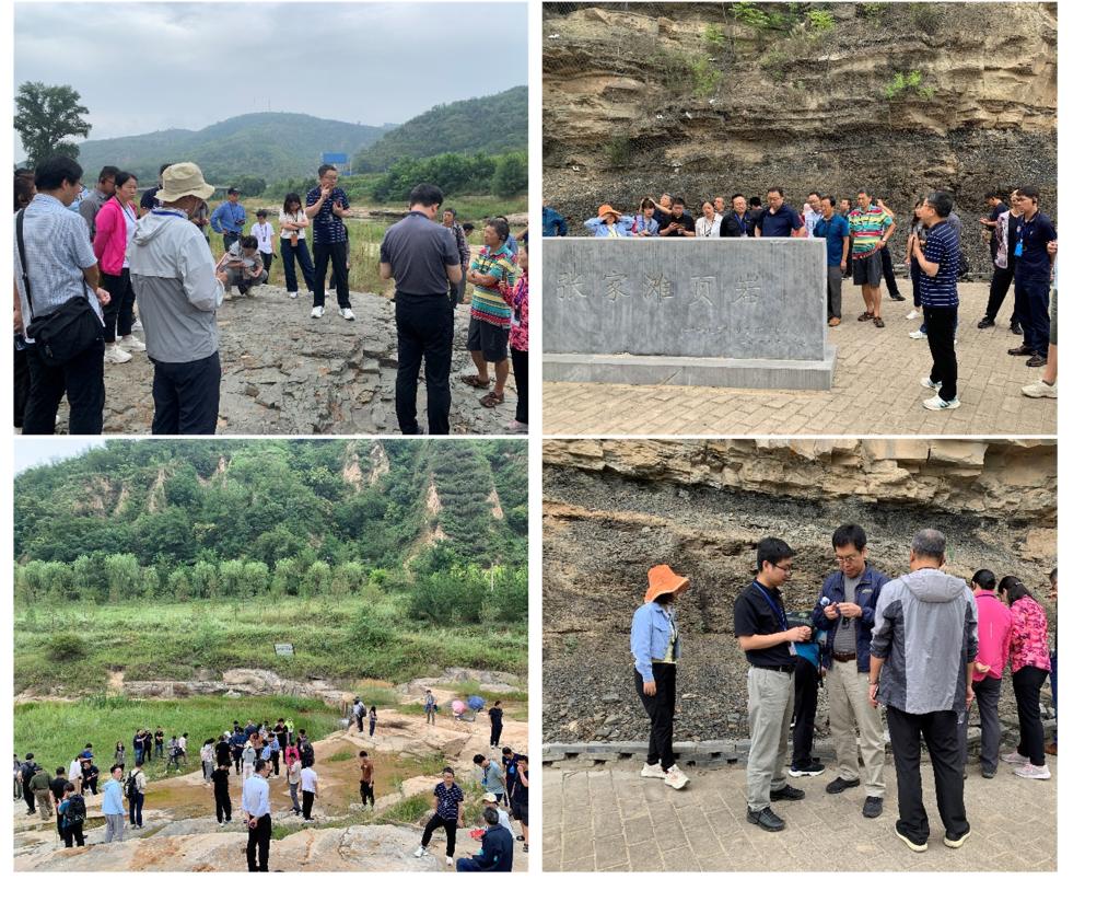 2026世界杯投注平台