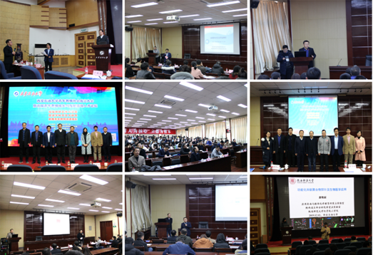 2026世界杯投注平台