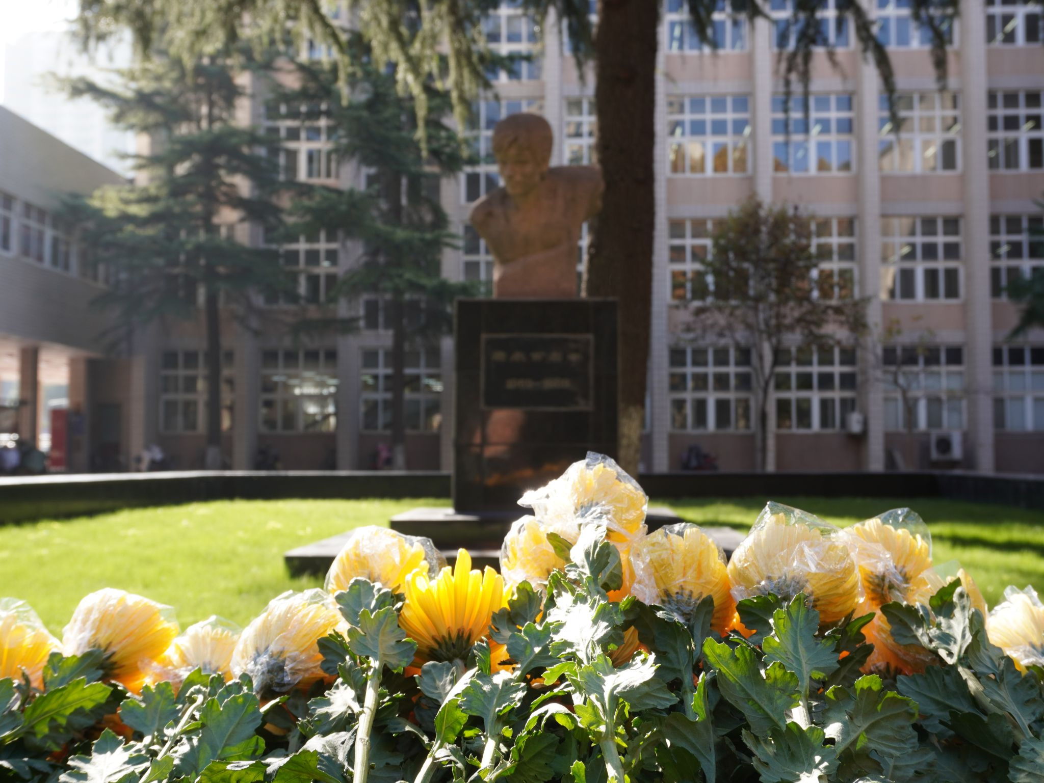 2026世界杯投注平台