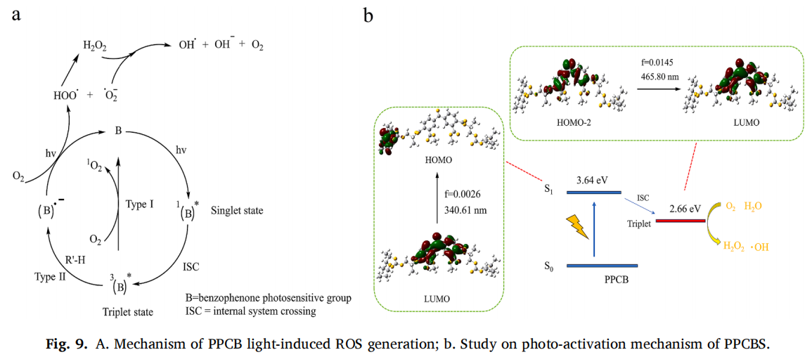 2026世界杯投注平台