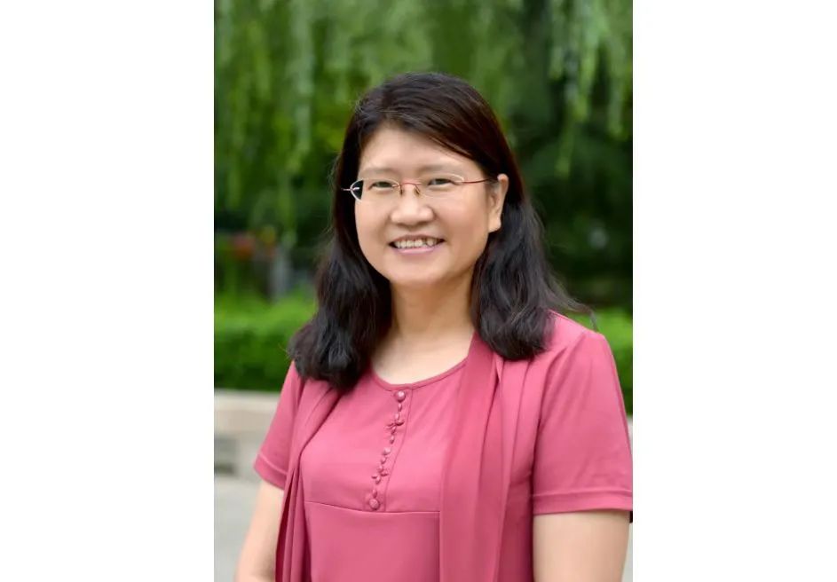 2026世界杯投注平台