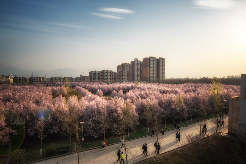 姜渭清8.jpg 2026世界杯投注平台