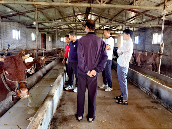 2026世界杯投注平台