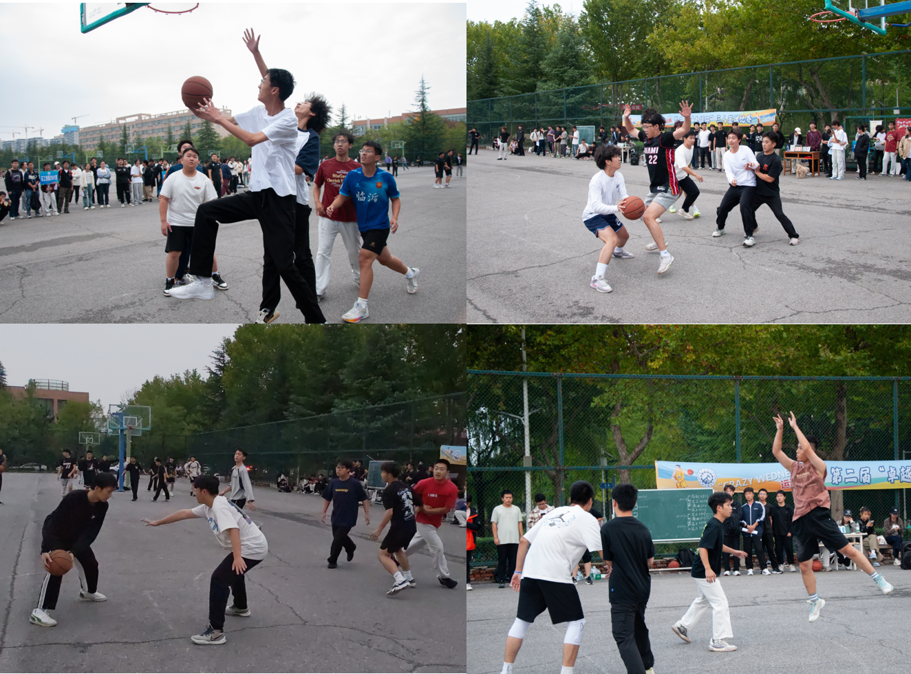 2026世界杯投注平台