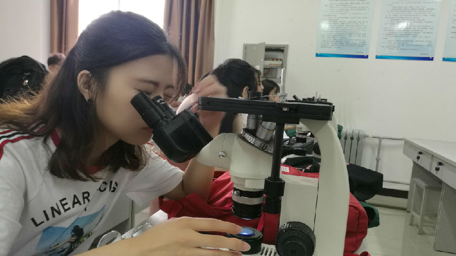 2026世界杯投注平台