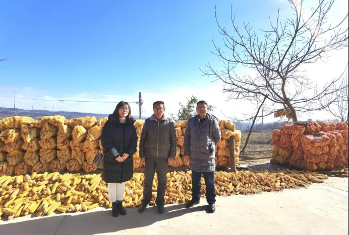 2026世界杯投注平台