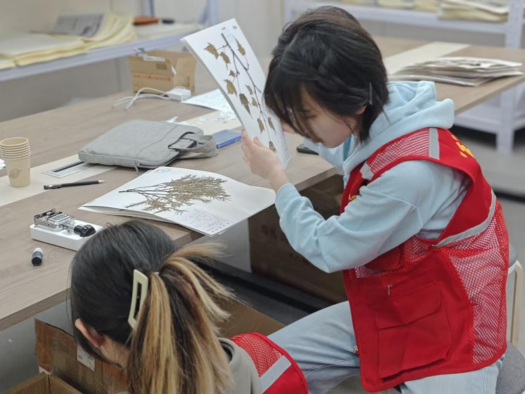 2026世界杯投注平台