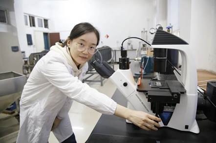 2026世界杯投注平台