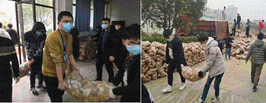 2026世界杯投注平台